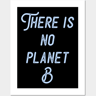 PLANET B 38 Posters and Art
